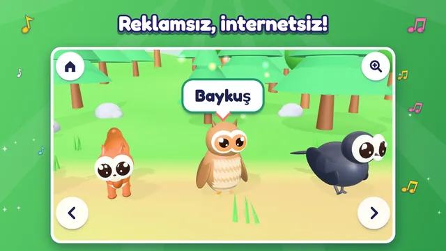 Reklamsız ve internetsiz: ormanda baykuş